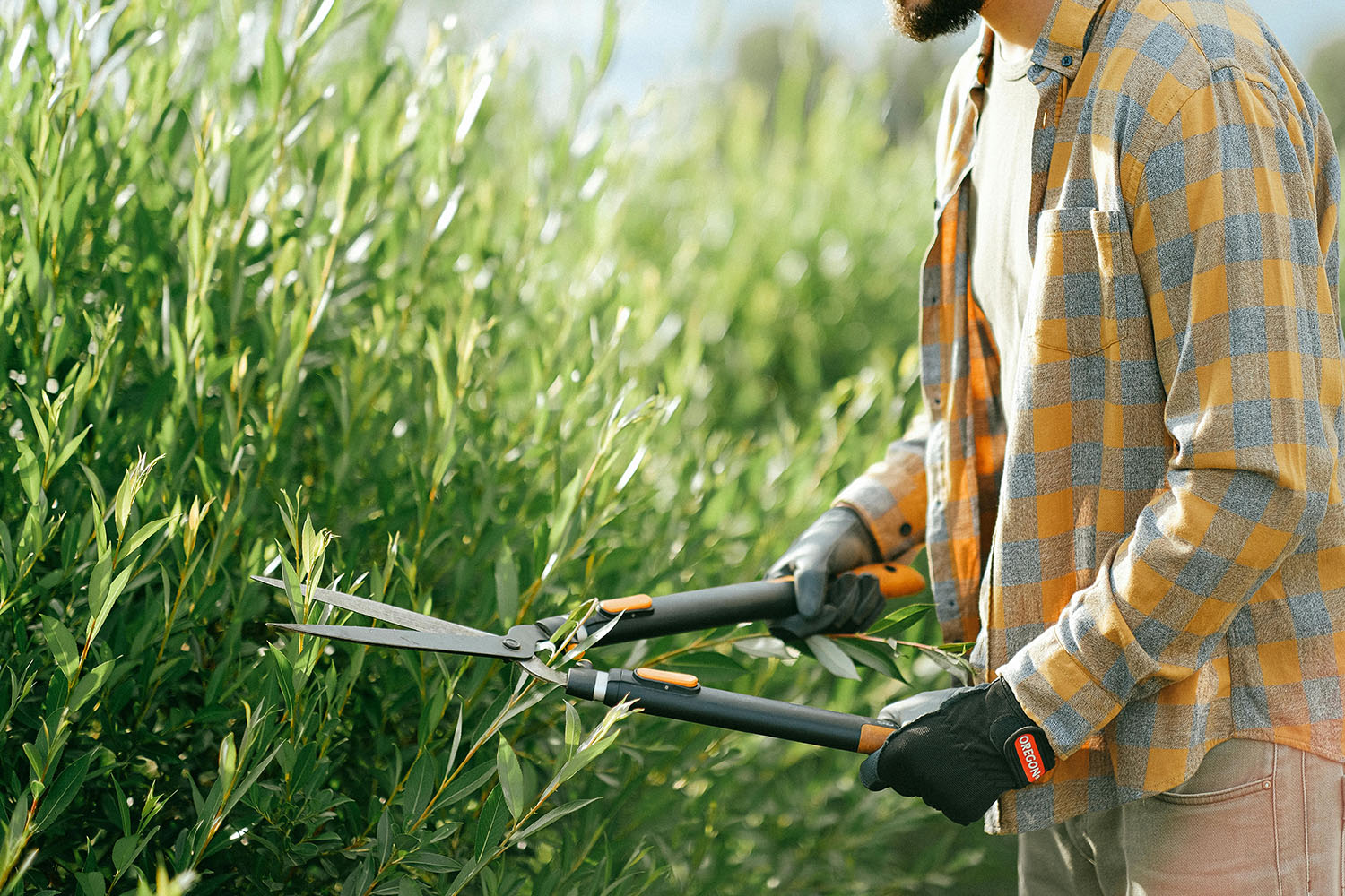 Servicio de jardinería y arboricultura