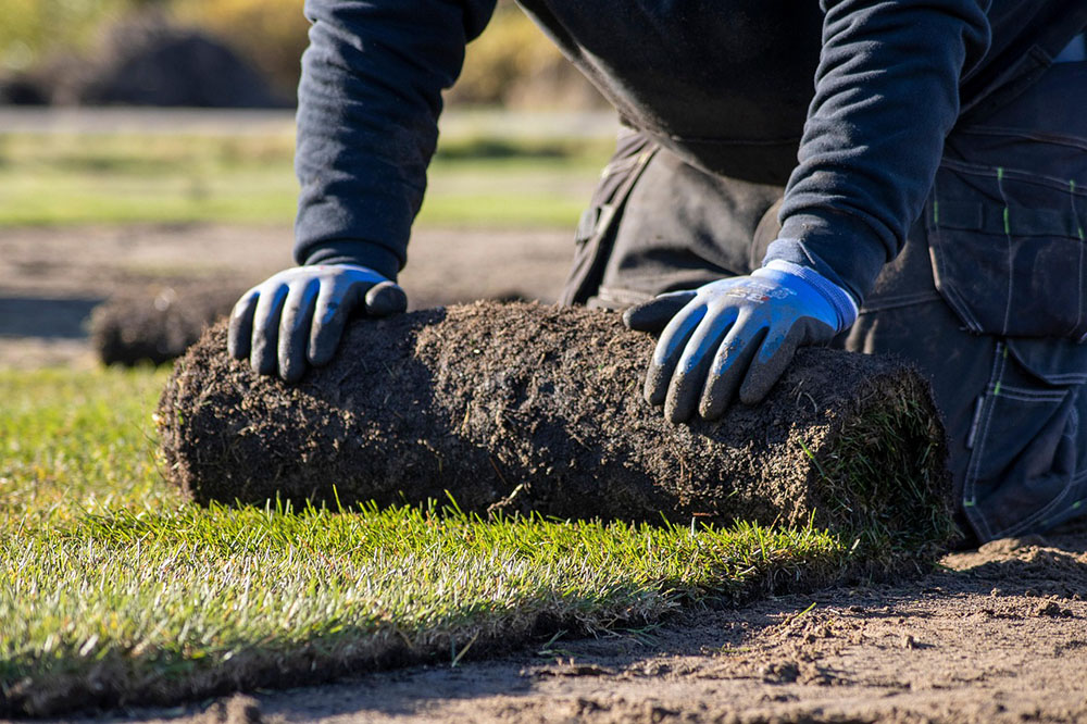 Venta al por mayor y a medida de césped natural para profesionales de la jardinería en Gipuzkoa