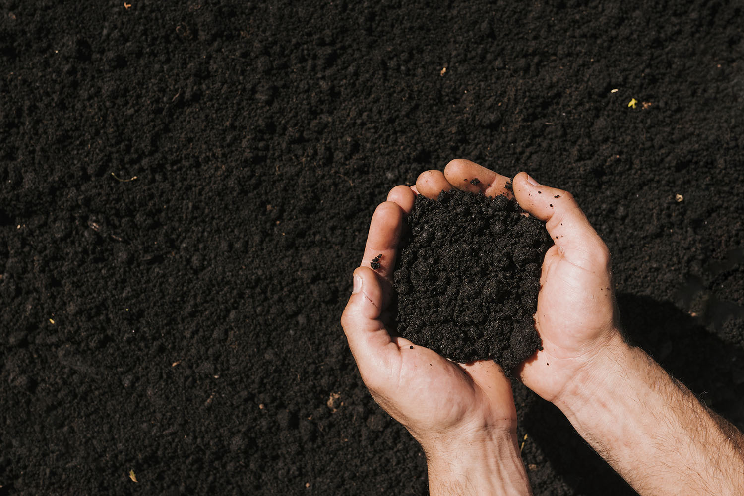 Venta al por mayor y a medida de tierras y sustratos para profesionales de la jardinería en Gipuzkoa