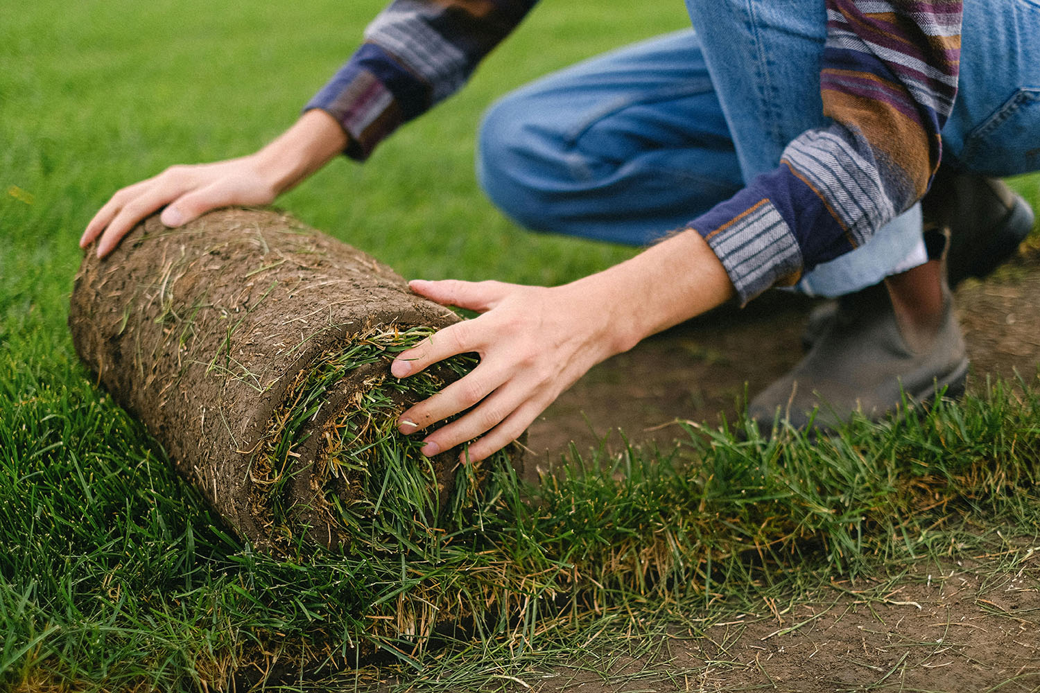 Productos profesionales de la <strong>jardinería y paisajismo</strong>.