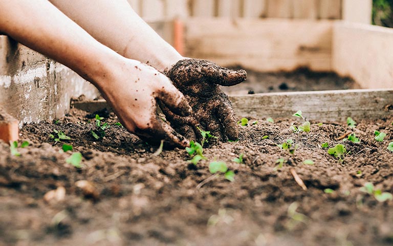 En KREO Jardiner&iacute;a puedes comprar Abonos y Fertilizantes especializados para la creaci&oacute;n y mantenimiento de jardines, huertos y terrazas