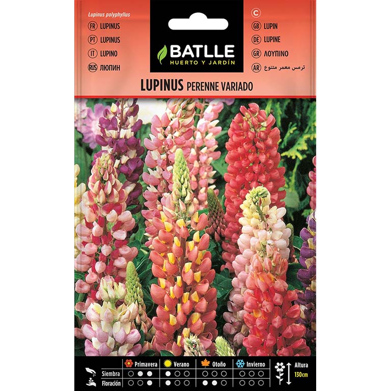 LUPINUS PERENNE VARIADO 40gr | Kreo Jardiner&iacute;a