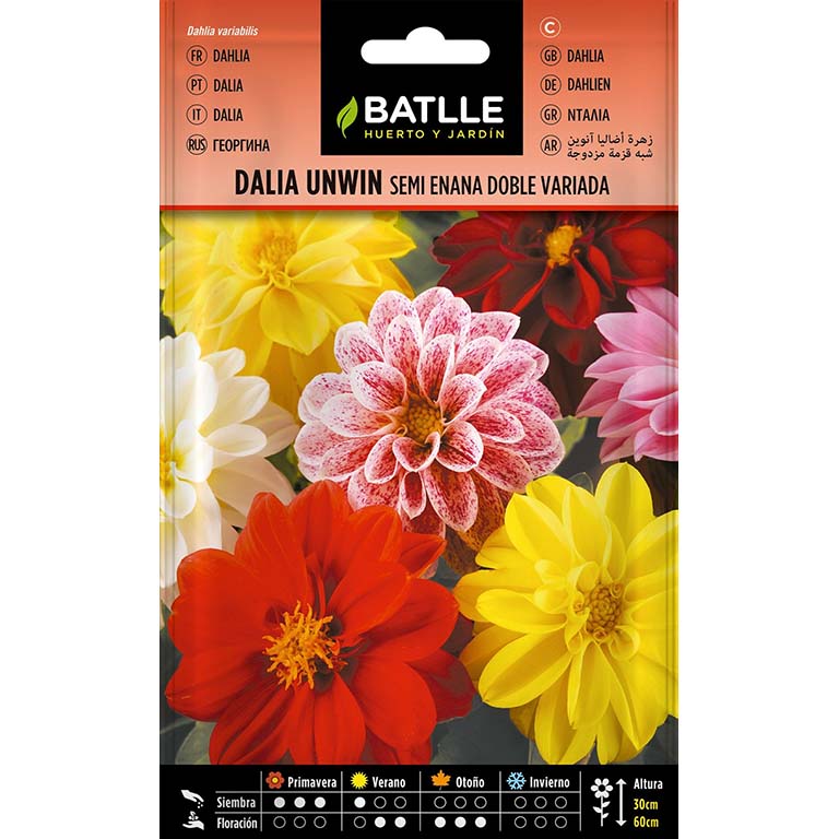 DALIA UNWIN SEMI ENANA DOBLE VIDA 150 semillas | Kreo Jardiner&iacute;a
