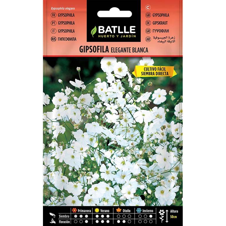 GIPSOFILA ELEGANTE BLANCA 2.000 semillas | Kreo Jardiner&iacute;a