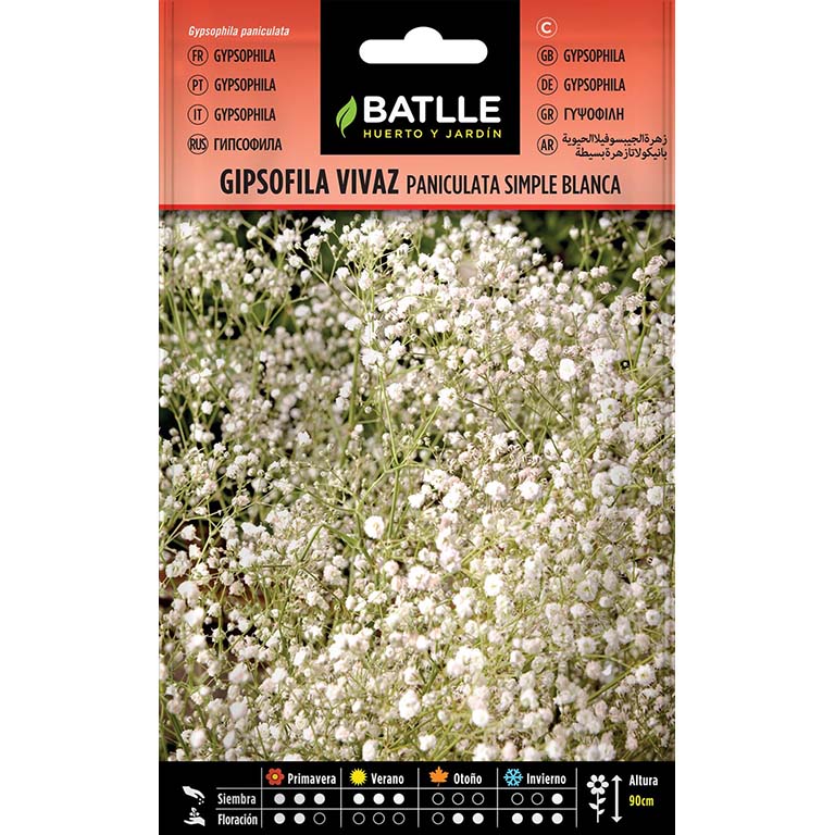 GIPSOFILA VIVAZ PANICULATA FL SIMPLE 1.200 semillas | Kreo Jardiner&iacute;a