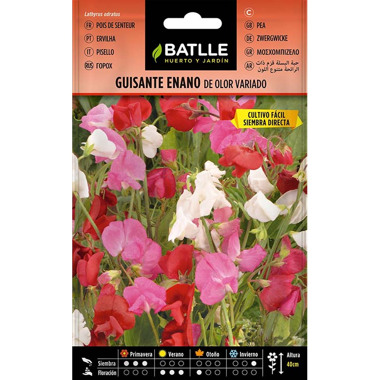 GUISANTE ENANO DE OLOR VARIADO 12gr | Kreo Jardiner&iacute;a