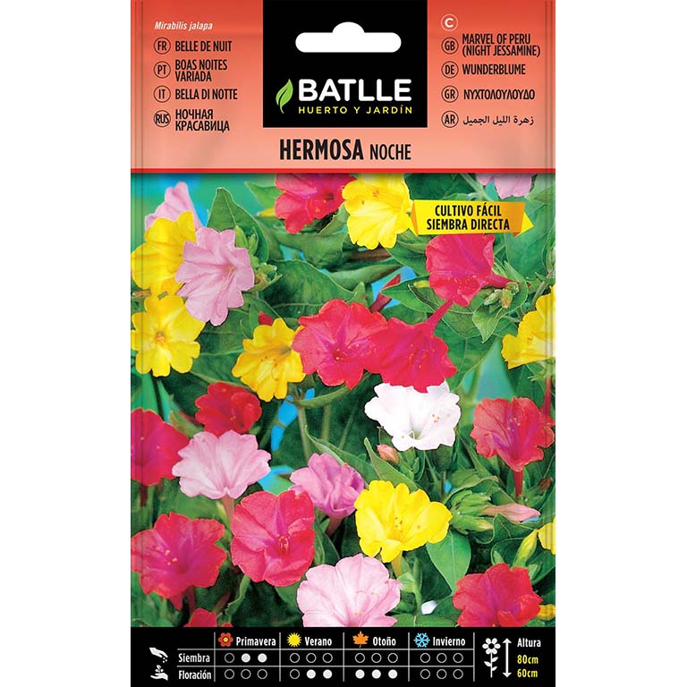 HERMOSA NOCHE 12gr | Kreo Jardiner&iacute;a