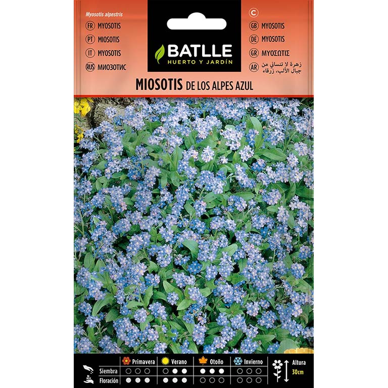 MIOSOTIS DE LOS ALPES AZUL 1.600 semillas | Kreo Jardiner&iacute;a