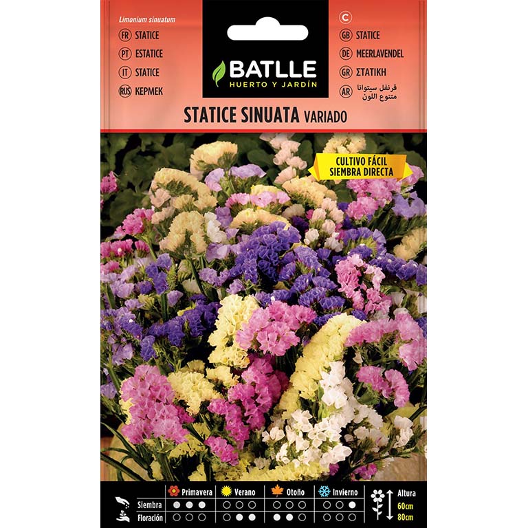 STATICE SINUATA VARIADO 350 semillas | Kreo Jardiner&iacute;a